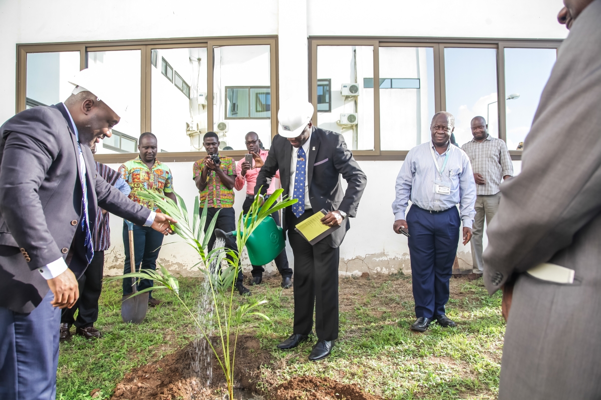 The Provost of CBAS, Prof Asiedu watering a tree on the site