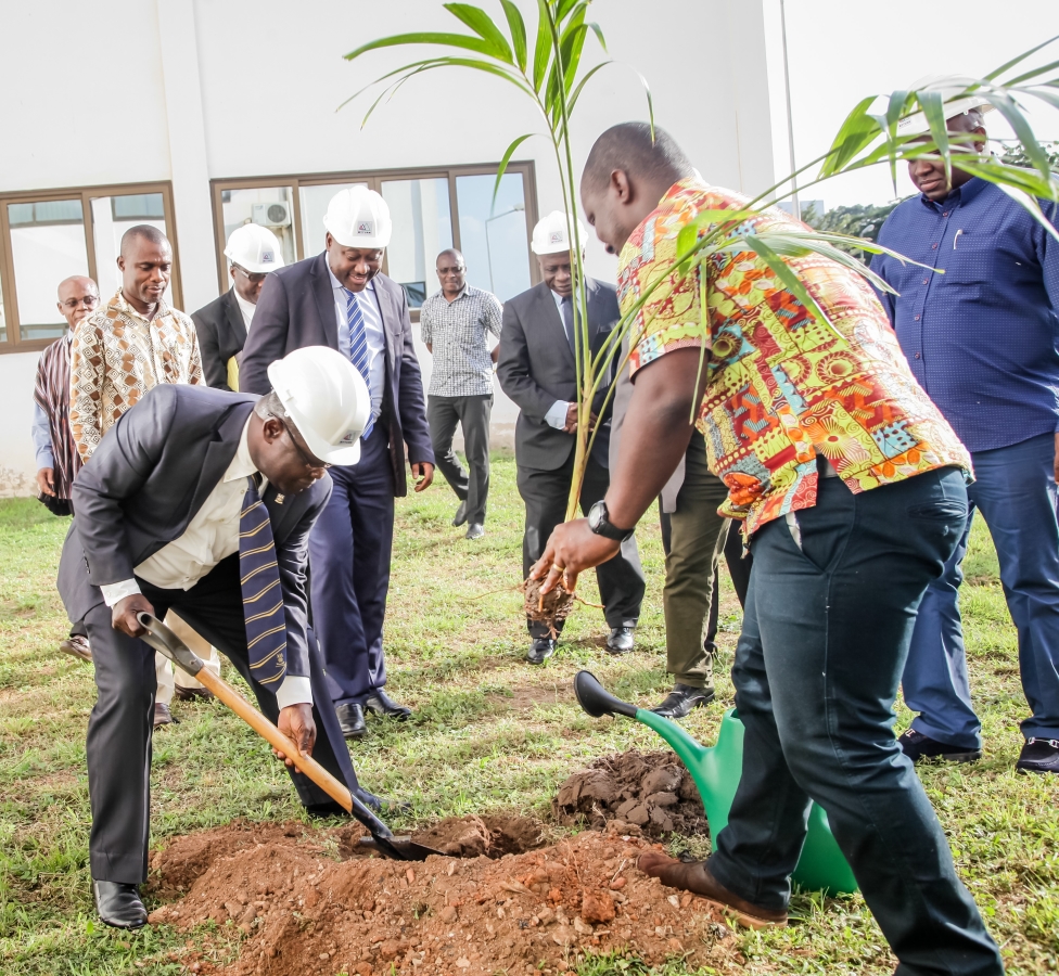 Vice Chancellor planting tree on the site