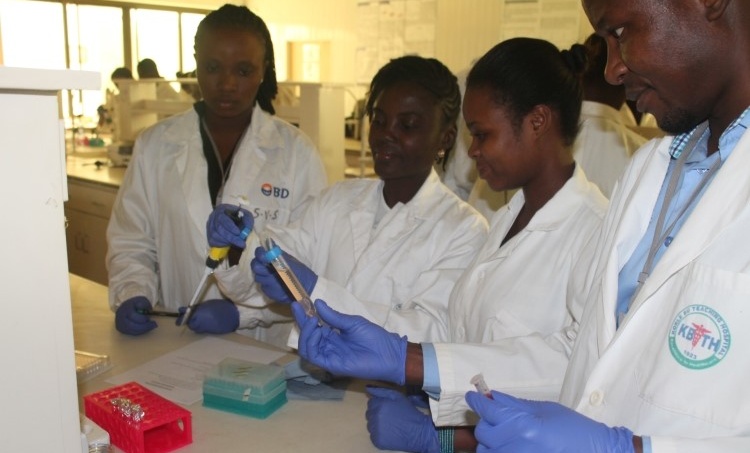 A Group of Participants undertaking a hands-on lab session